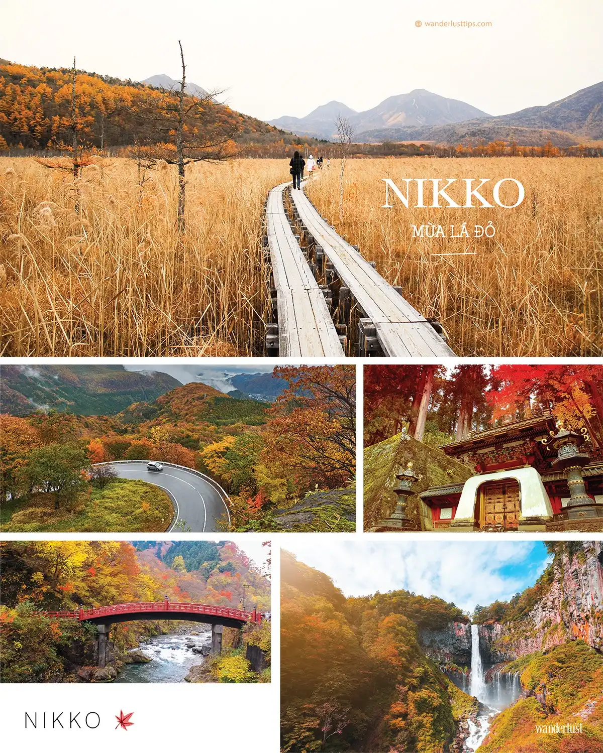 Tạp chí Du lịch Wanderlust Tips | Mơ về mùa đẹp nhất xứ hoa anh đào