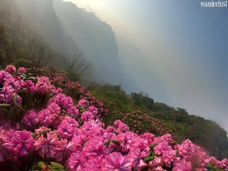 Những cung đường trekking thử thách tại Việt Nam 5 Tạp chí Du lịch Wanderlust Tips – những cung đường trekking thách thức