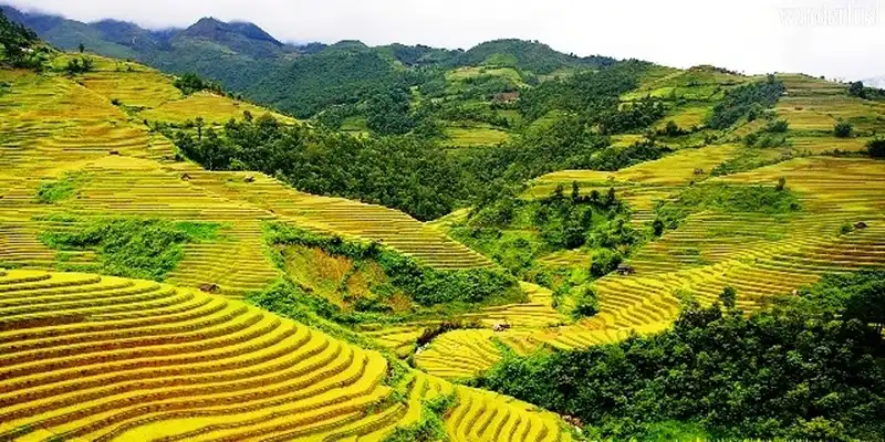 Những thung lũng Việt Nam đẹp tựa bức tranh 5 Tạp chí du lịch Wanderlust Tips | Những thung lũng Việt Nam đẹp như tranh