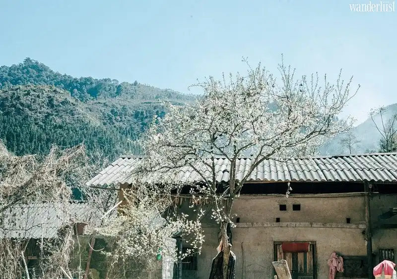 Tạp chí Du lịch Wanderlust Tips | Phó Bảng: Thị trấn “ngủ quên” trên cao nguyên đá