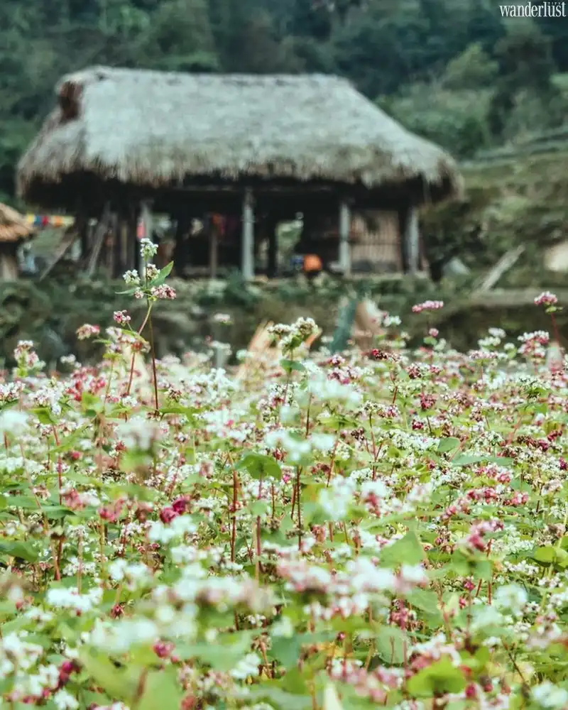 Tạp chí Du lịch Wanderlust Tips | Thị trấn “ngủ quên” trên cao nguyên đá