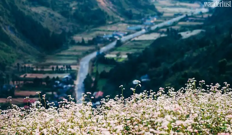 Tạp chí Du lịch Wanderlust Tips | Thị trấn “ngủ quên” trên cao nguyên đá