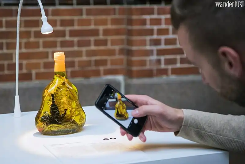 Tạp chí du lịch Wanderlust Tips | Triển lãm rượu độc đáo tại Thụy Điển