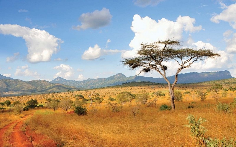 Trải nghiệm Kenya: Tìm về vẻ đẹp hoang dã
