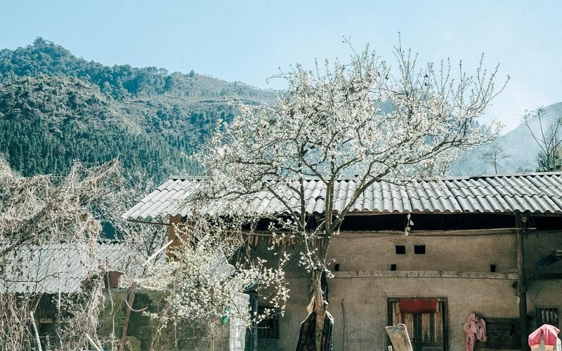 Phó Bảng: Thị trấn “ngủ quên” trên cao nguyên đá Phó Bảng: Thị trấn “ngủ quên” trên cao nguyên đá