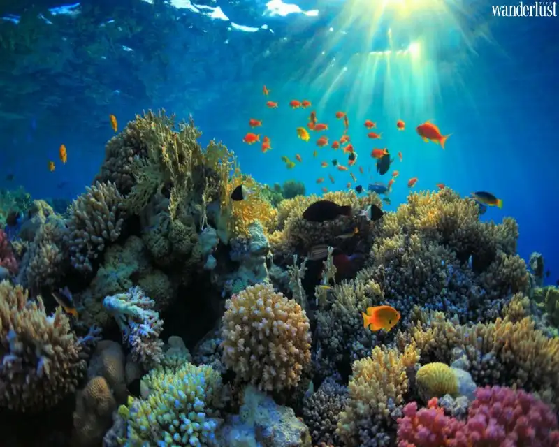 Tới Belize và trải nghiệm những điều thú vị có 1-0-2 6 Tạp chí Du lịch Wanderlust Tips | Tới Belize và trải nghiệm những điều thú vị có 1-0-2