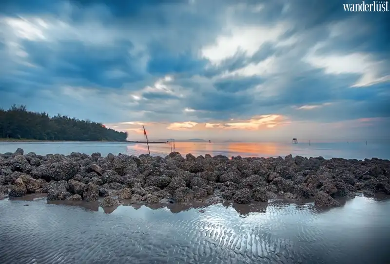 Tạp chí Du lịch Wanderlust Tips | Chẳng cần đi đâu xa vì ngay gần Sài Gòn có những khu vui chơi tuyệt đẹp!