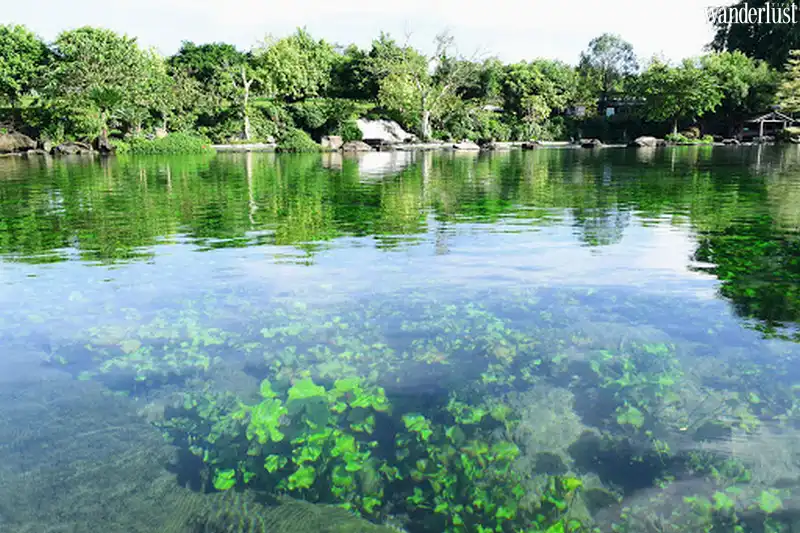 Tạp chí Du lịch Wanderlust Tips | Chẳng cần đi đâu xa vì ngay gần Sài Gòn có những khu vui chơi tuyệt đẹp!