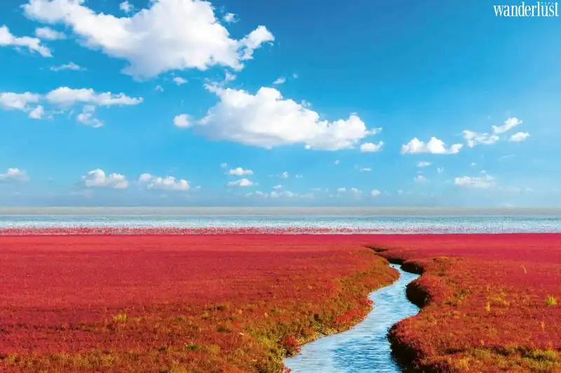 Tạp chí Du lịch Wanderlust Tips | Địa điểm du lịch kỳ lạ đến khó tin trên thế giới 