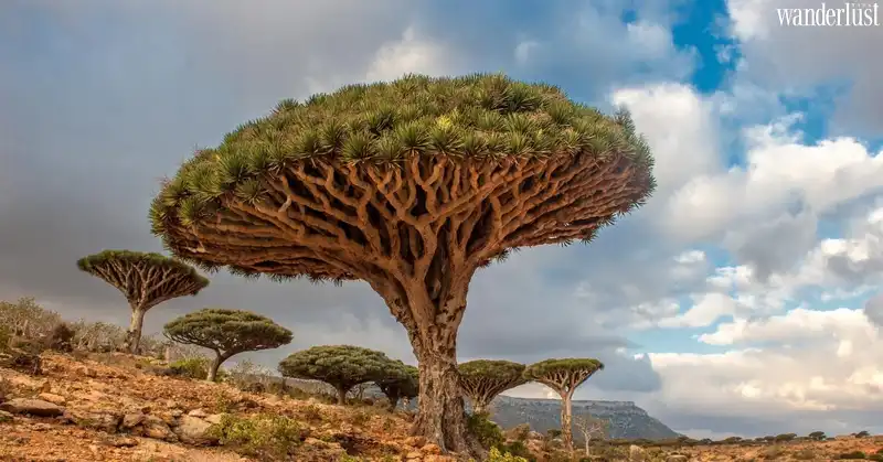 Tạp chí Du lịch Wanderlust Tips | Địa điểm du lịch kỳ lạ đến khó tin trên thế giới 