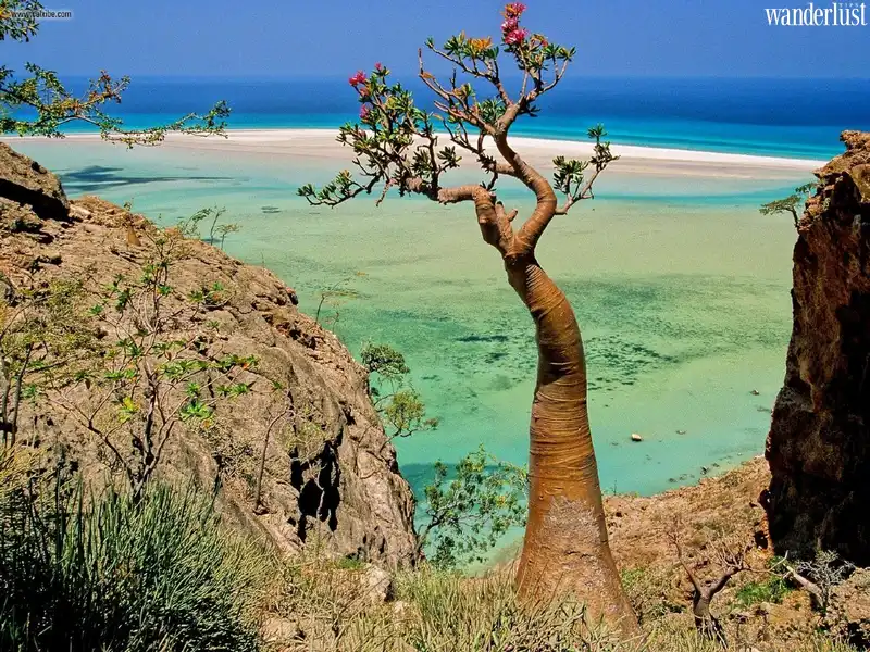 Tạp chí Du lịch Wanderlust Tips | Địa điểm du lịch kỳ lạ đến khó tin trên thế giới 