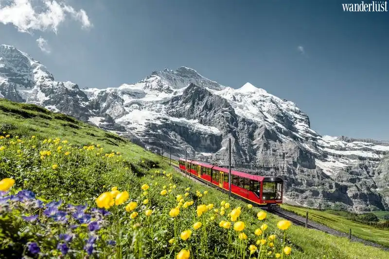 Tạp chí Du lịch Wanderlust Tips | Chinh phục đỉnh núi Jungfrau băng tuyết 