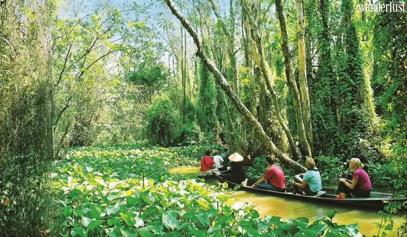 Đồng Tháp hiền hòa, bình dị và rực rỡ sắc hoa 7 Tạp chí Du lịch Wanderlust Tips | Du lịch Đồng Tháp miền Tây sông nước