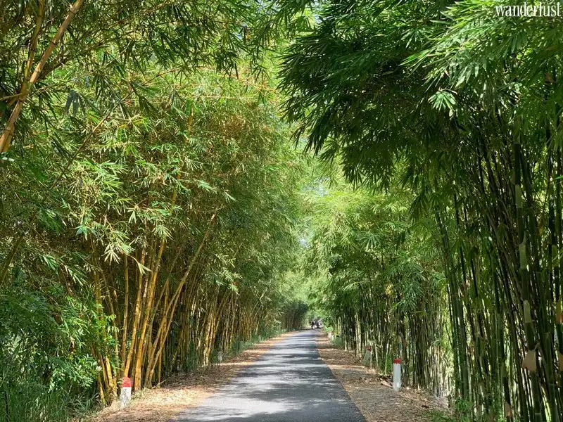Đồng Tháp hiền hòa, bình dị và rực rỡ sắc hoa 9 Tạp chí Du lịch Wanderlust Tips | Du lịch Đồng Tháp miền Tây sông nước