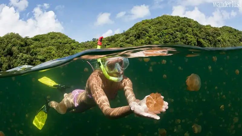 Palau: Miền đất hứa lãng mạn giữa biển khơi 9 Tạp chí Du lịch Wanderlust Tips | Du lịch Paula: Miền đất hứa lãng mạn của Philippines