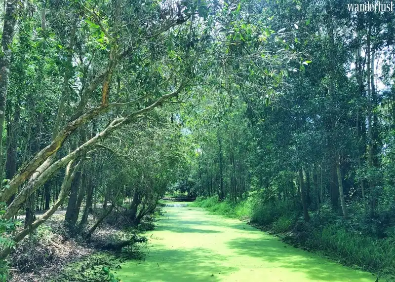 Đến Hậu Giang có gì thú vị? 5 Tạp chí Du lịch Wanderlust Tips | Du lịch Hậu Giang sông nước bình dị