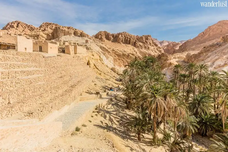 Tạp chí Du lịch Wanderlust Tips | Khám phá những ốc đảo trên sa mạc 