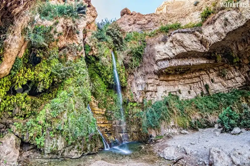 Tạp chí Du lịch Wanderlust Tips | Khám phá những ốc đảo trên sa mạc 