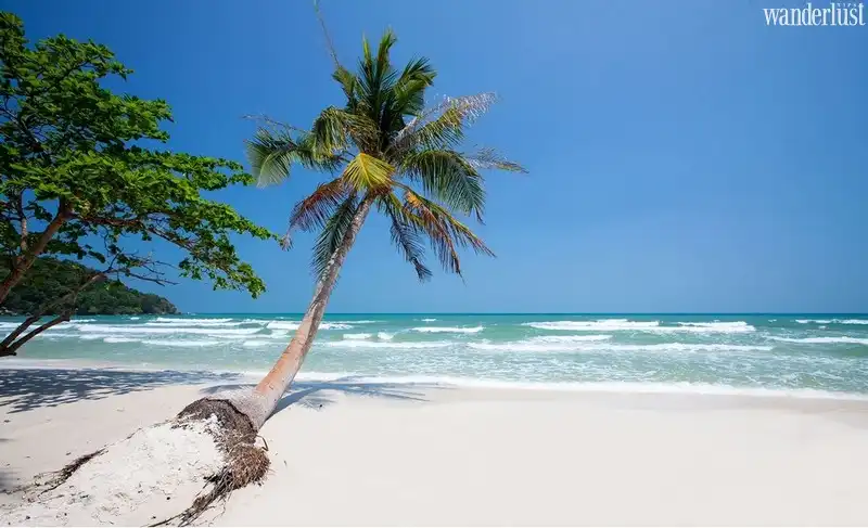 Tạp chí du lịch Wanderlust Tips | Lonely Planet xướng tên 10 danh thắng đẹp nhất Việt Nam