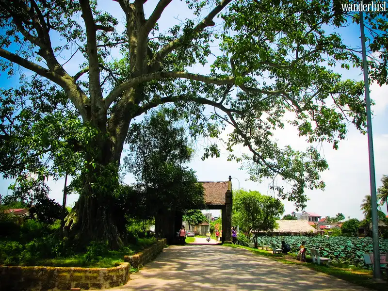 Ngược thời gian về với những ngôi làng cổ Hà Nội 5 Tạp chí Du lịch Wanderlust Tips | Những ngôi làng cổ kính trăm năm tuổi ở Hà Nội