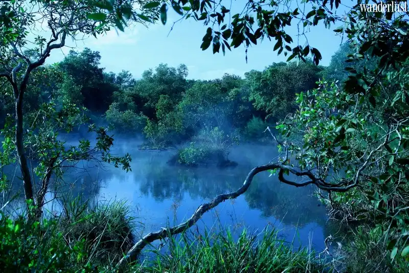 Tạp chí Du lịch Wanderlust Tips | khám phá Bình Châu: Điểm đến Việt Nam 