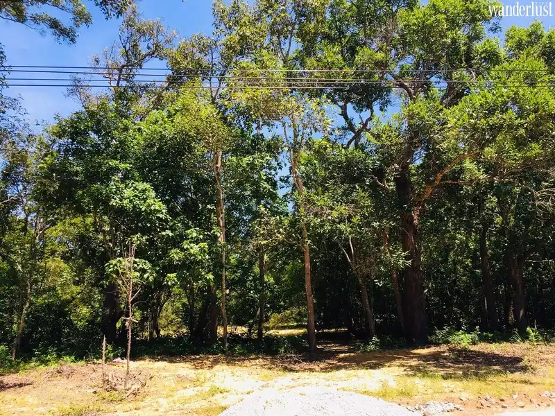 Tạp chí Du lịch Wanderlust Tips | khám phá Bình Châu: Điểm đến Việt Nam 