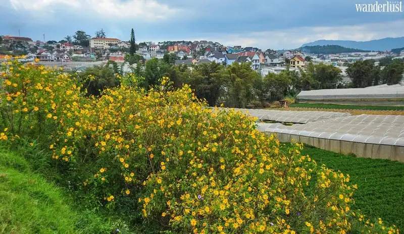 Đi đâu những ngày tháng 11? 6 Tạp chí Du lịch Wanderlust Tips | Du lịch tháng 11 nên đi đâu?