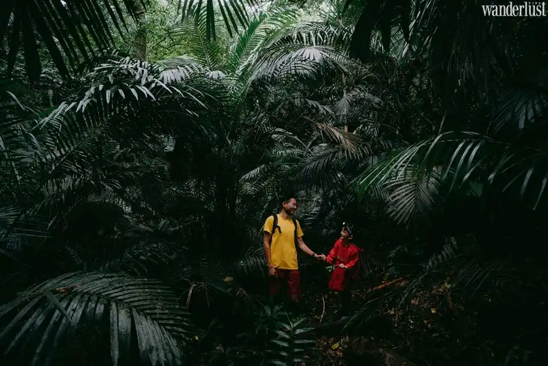 Tạp chí du lịch Wanderlust Tips | Top 7 địa điểm ngắm sao đẹp nhất thế giới