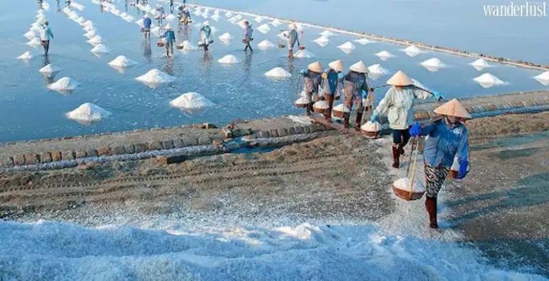 Tạp chí Du lịch Wanderlust Tips | Những cánh đồng muối đẹp ở Việt Nam