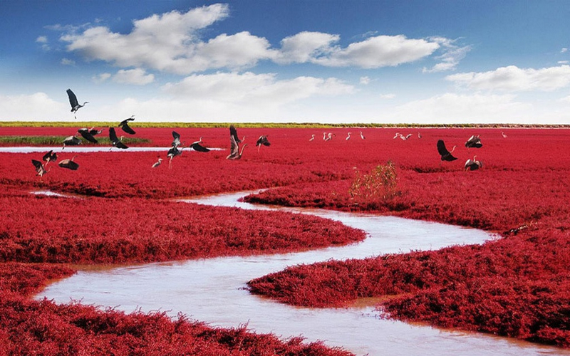 Du lịch tới những địa điểm kì lạ đến khó tin trên thế giới