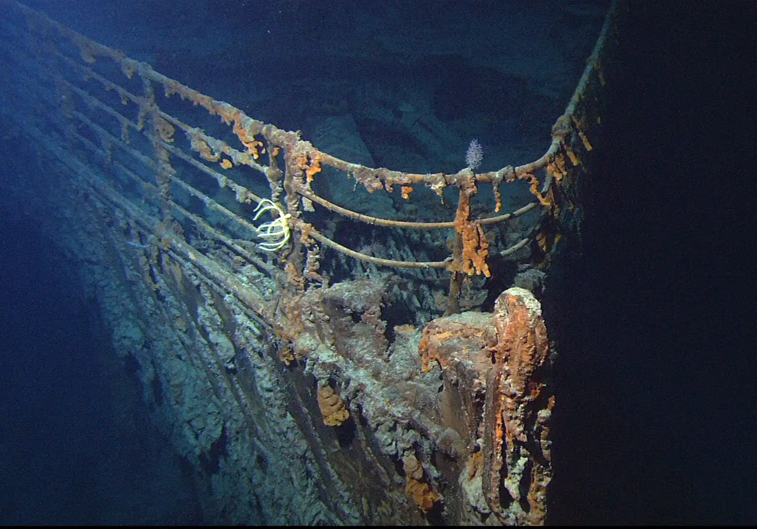 Titanic: Từ huyền thoại màn ảnh rộng 1997 đến đáy đại dương