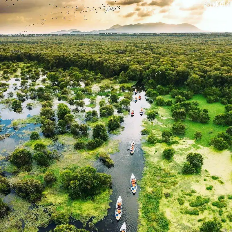 Tạp chí Du lịch Wanderlust Tips | Chơi gì ở An Giang mùa nước nổi?