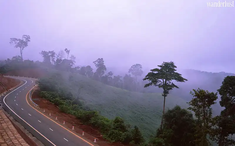 <h1>Mê mẩn những cung đường nơi đại ngàn Tây Nguyên</h1> 14 Tạp chí Du lịch Wanderlust Tips | Những cung đường đẹp khiến du khách mê mẩn