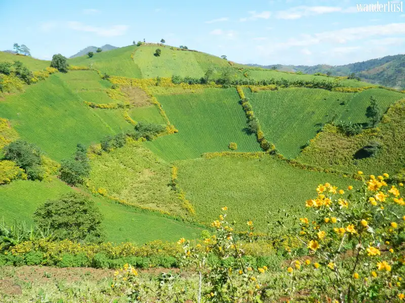 <h1>Mê mẩn những cung đường nơi đại ngàn Tây Nguyên</h1> 7 Tạp chí Du lịch Wanderlust Tips | Những cung đường đẹp khiến du khách mê mẩn ở Tây Nguyên