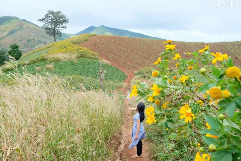 <h1>Mê mẩn những cung đường nơi đại ngàn Tây Nguyên</h1> 8 Tạp chí Du lịch Wanderlust Tips | Những cung đường đẹp khiến du khách mê mẩn ở Tây Nguyên