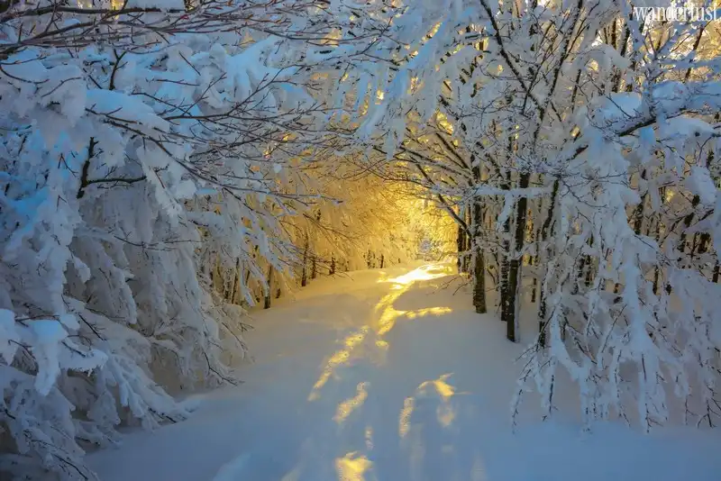 Ngẩn ngơ trước những con đường ngập đầy tuyết trắng 7 Tạp chí du lịch Wanderlust Tips | Dạo chơi trên những con đường tuyết trắng
