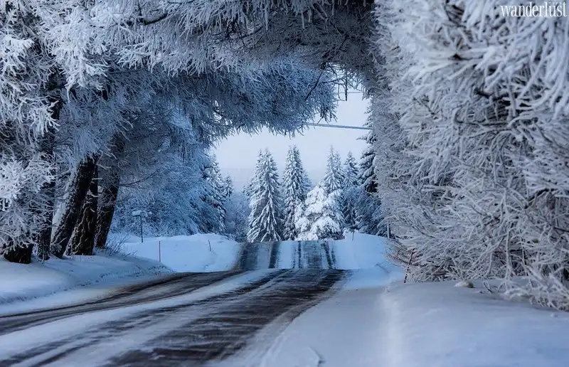 Ngẩn ngơ trước những con đường ngập đầy tuyết trắng 6 Tạp chí du lịch Wanderlust Tips | Dạo chơi trên những con đường tuyết trắng