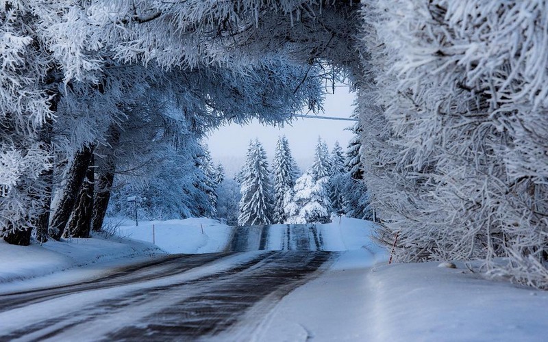 Ngẩn ngơ trước những con đường ngập đầy tuyết trắng