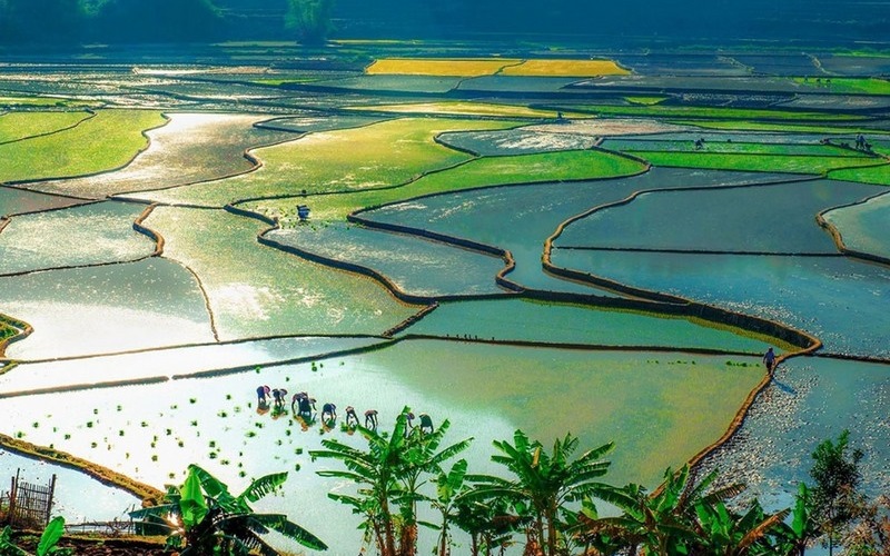 Tới Lai Châu bạn định đi đâu?