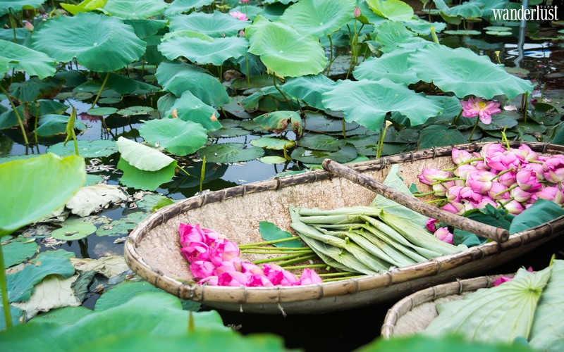 Tạp chí Du lịch Wanderlust Tips | Vẻ bình yên giữa lòng Hà Nội