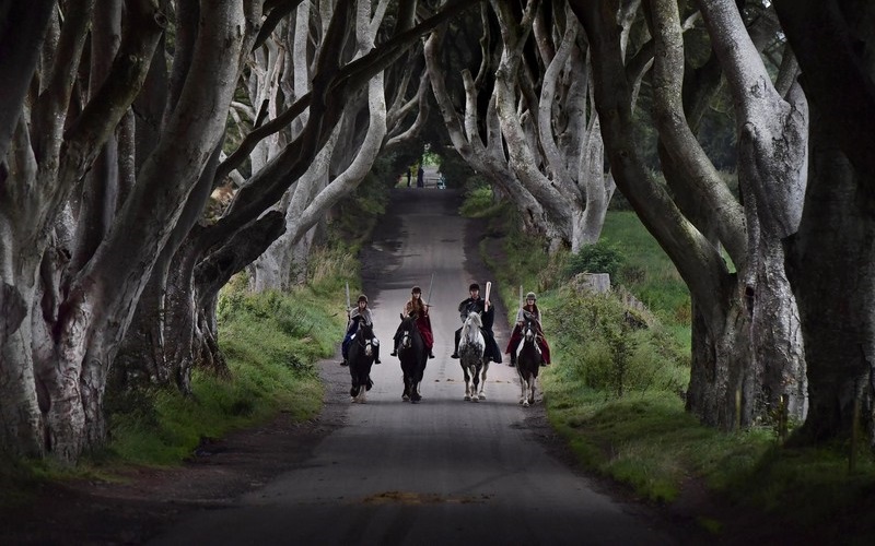 Dark Hedges: Con đường hắc ám, ma mị tại Ireland