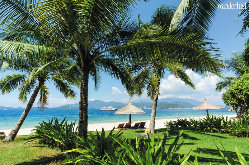 Tạp chí Du lịch Wanderlust Tips | Đi ngay để thấy Việt Nam đẹp nhường nào