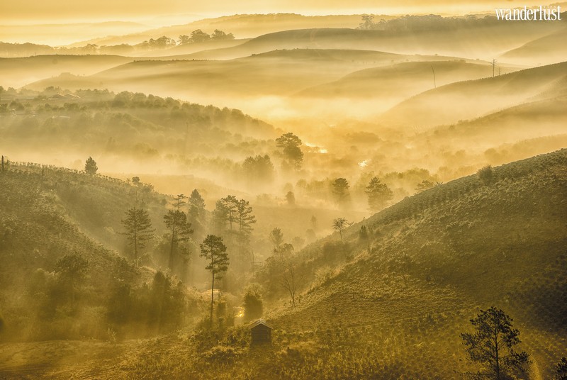 Tạp chí Du lịch Wanderlust Tips | Đi ngay để thấy Việt Nam đẹp nhường nào