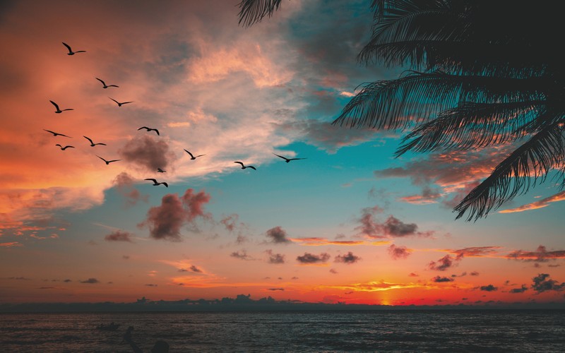 wanderlust tips di qua colombo01