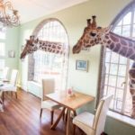 Amazing Hotels: Chương trình dành cho những trái tim mê du lịch