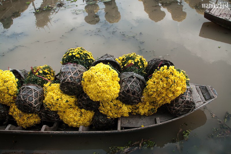 Tạp chí Du lịch Wanderlust Tips | Có làng hoa Sa Đéc rực rỡ ngày cận Tết