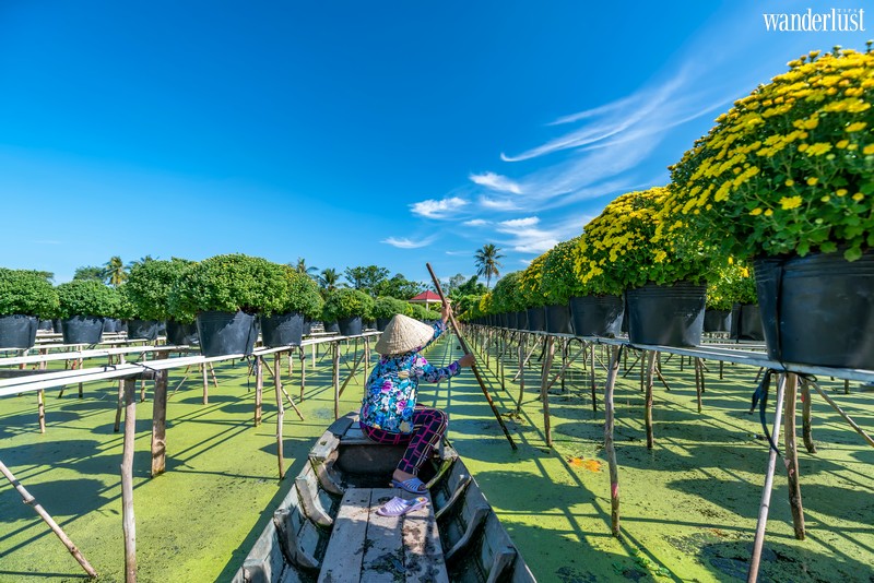 wanderlust tips lang hoa sa dec ruc ro ngay can tet15