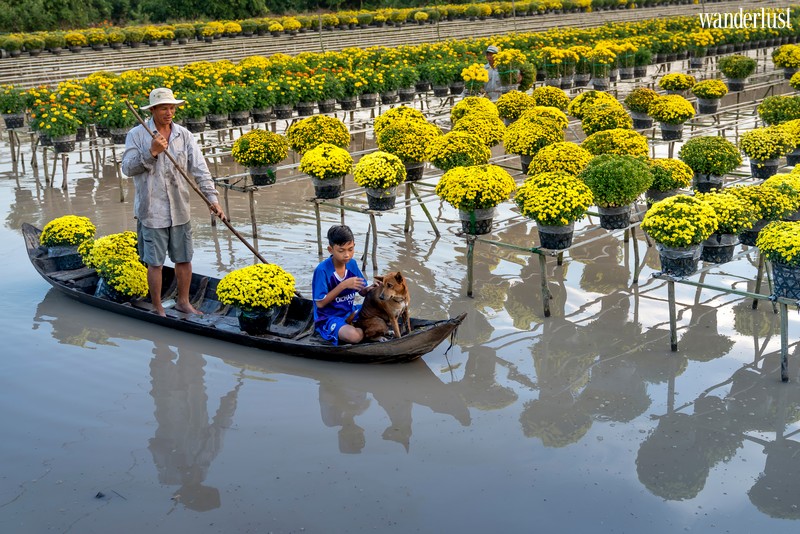 wanderlust tips lang hoa sa dec ruc ro ngay can tet20