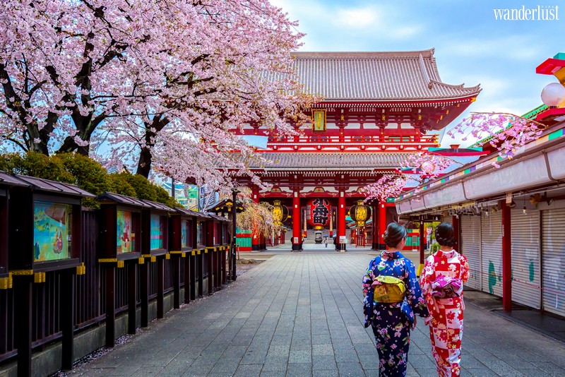 Ngẩn ngơ mùa xuân xứ hoa anh đào 13 Tạp chí Du lịch Wanderlust Tips | Ngẩn ngơ mùa xuân xứ hoa anh đào