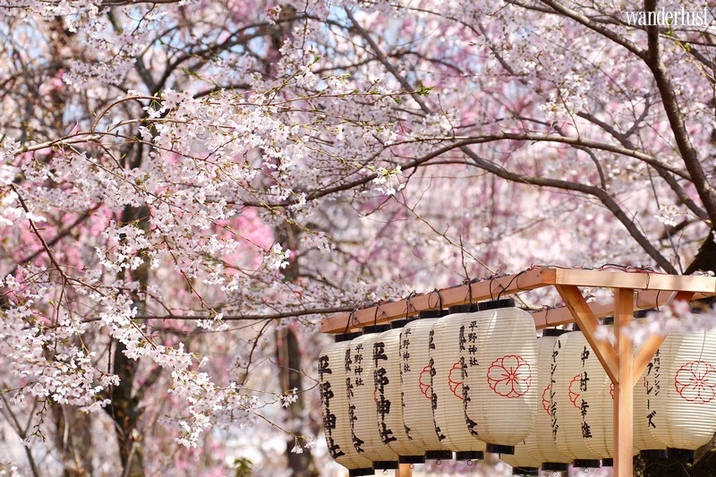 Ngẩn ngơ mùa xuân xứ hoa anh đào 10 Tạp chí Du lịch Wanderlust Tips | Ngẩn ngơ mùa xuân xứ sở Phù Tang